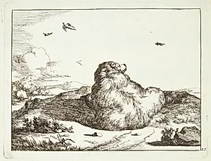 Liggende bjørn, set bagfra by Marcus de Bye