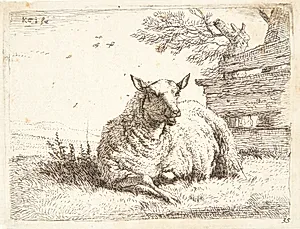 Liggende får nær et trægærde by Karel Du Jardin