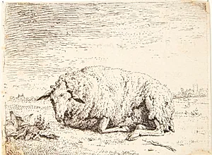 Liggende får by Karel Du Jardin