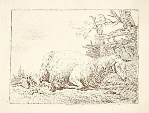 Liggende får ved et hegn by Karel Du Jardin