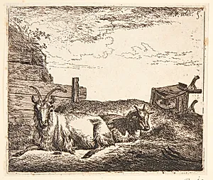 Liggende geder by Adriaen van de Velde