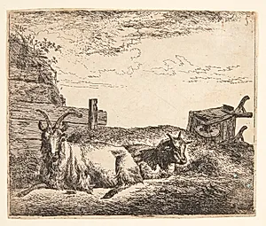 Liggende geder by Adriaen van de Velde