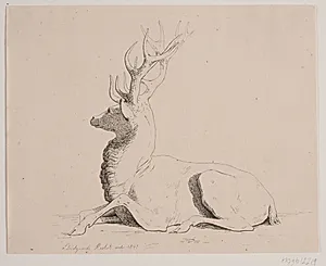 Liggende hjort by Georg Emil Libert