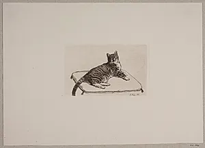 Liggende kat by Axel Hou