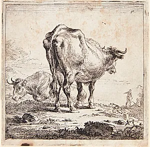 Liggende ko og en stående ko set bagfra by Nicolaes Berchem