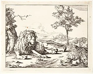 Liggende løve, set forfra by Marcus de Bye