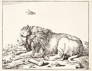 Liggende løve by Marcus de Bye