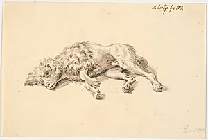 Liggende puddelhund by Martinus Rørbye