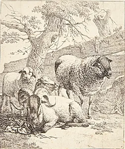 Liggende vædder mellem stående får. I baggrunden et raftehegn by Johann Heinrich Roos