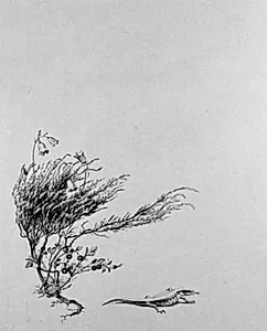 llustration til St. St. Blicher: "Mowns": Titelblad. Busk blomster, bær, et firben by Hans Smidth