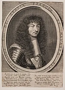Ludvig XIV by Albert Haelwegh