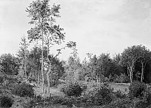 Lysning i Nordskoven ved Jægerspris by Vilhelm Kyhn