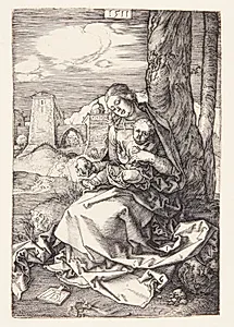 Madonna med pæren by Albrecht Dürer