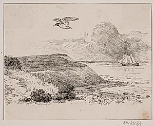 Mågen by Adolph Kittendorff