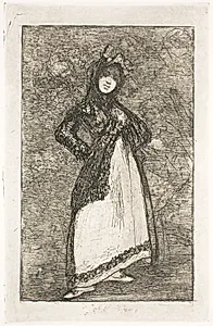 Maja mod en baggrund af dæmoner (Maja) by Francisco de Goya