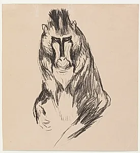 Mandril
