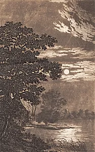 Måneskin over en sø