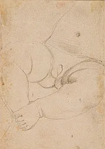 Mave , skød og ben af en smådreng by Hans Baldung Grien