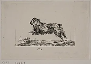 Max, løbende hund by Christian David Gebauer