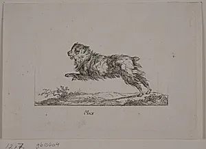 Max, løbende hund by Christian David Gebauer