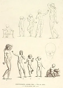 Menneskets Alder fra 1 til 20 Aar by J.F. Clemens
