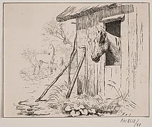 Møllehesten by Adolph Kittendorff