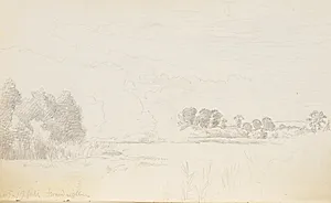 Mose med træer og buske by P.C. Skovgaard