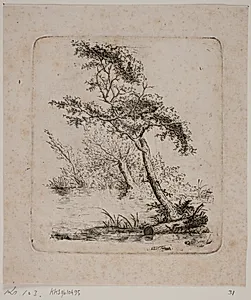 Moseparti med Træer by Christian D. Fritzsch