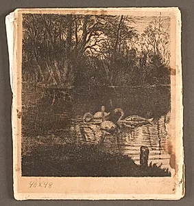 Motiv med svaner. Frederiksberg have by Marcus Bech Fritz