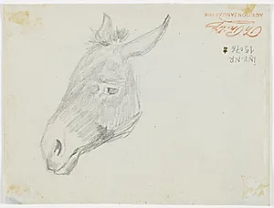 Muldyr. Italien by Theodor Philipsen