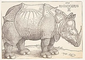 Næsehornet by Albrecht Dürer