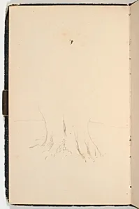Nederste del af en træstamme by P.C. Skovgaard