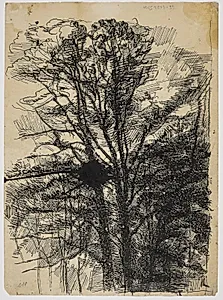 Nøgne trækroner by Christian Kongstad Petersen