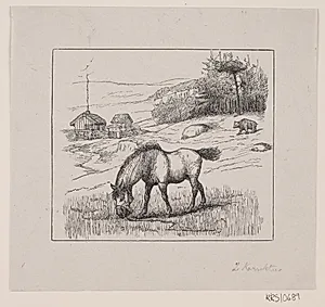 Nordbakke