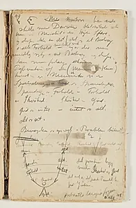 Notater om Newton[?], Darwin og moral. Desuden definition på den "Menneskelige Kemi" samt et diagram over samme, hvor der modstilles begreber som menneske - eet, spænding - alt, forhold - intet, skønhed - gud by J.A. Jerichau (II)