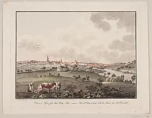 Odense på Fyn, fra den østlige side by Søren L. Lange