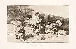 Også disse (25) by Francisco de Goya