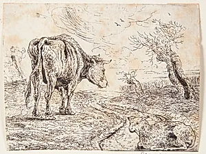 Okse og får by Jan Jansz. den Uyl II