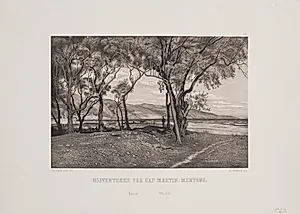 Oliventræer på cap. Martin Mentone by Adolph Kittendorff