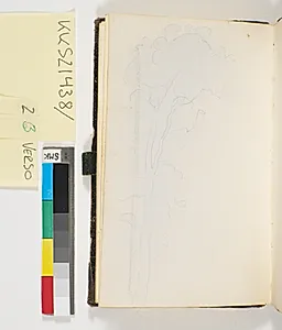Omrids af et stort træ by P.C. Skovgaard