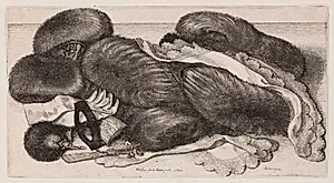 Opstilling med muffer, handsker og tørklæder by Wenceslaus Hollar