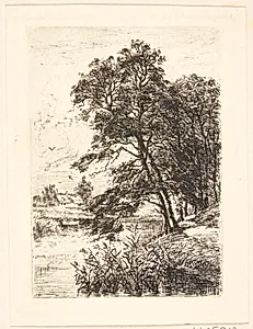 Ørholm