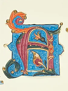Ornamenteret initial A by Ubekendt