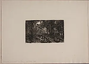 Oversvømmet vej i skoven ved Øströö by Niels Skovgaard