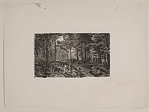 Oversvømmet vej i skoven ved Øströö by Niels Skovgaard
