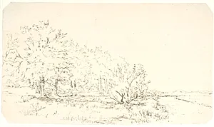 Parti af en skov, der t.h. når ud til bredden af en å by Dankvart Dreyer