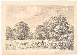 Parti fra Dyrehaven med rådyr i en lysning. by P.C. Skovgaard