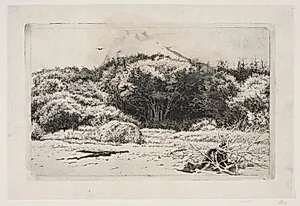Parti fra Hornbæksplantagen by Carl Bloch