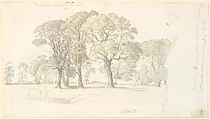Parti fra Jægersborg Dyrehave med fritstående træer. by P.C. Skovgaard