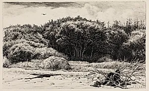 Parti i Hornbækplantagen by Carl Bloch